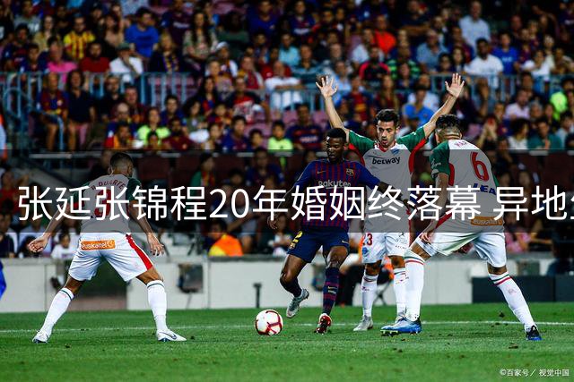 张延张锦程20年婚姻终落幕 异地生活消磨爱情引深思